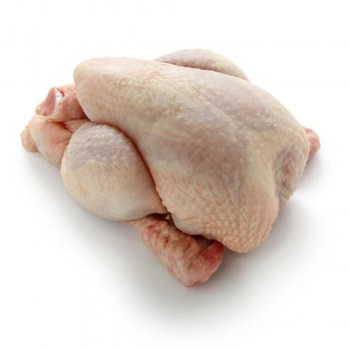 chicken_cornishhen
