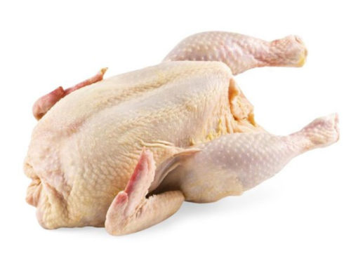 lightfowl