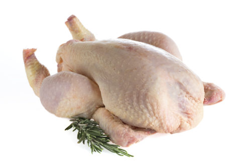 rawheavyfowl