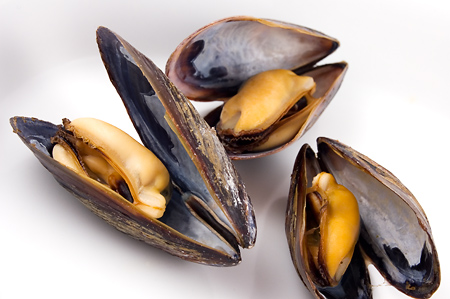 mussels