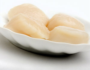 seafood_seascallops